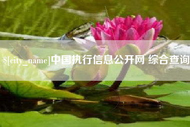 温州中国执行信息公开网 综合查询