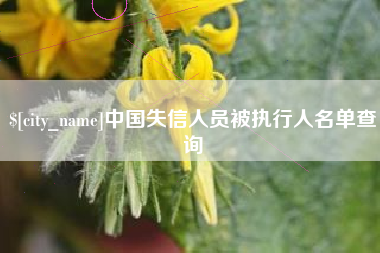 温州中国失信人员被执行人名单查询
