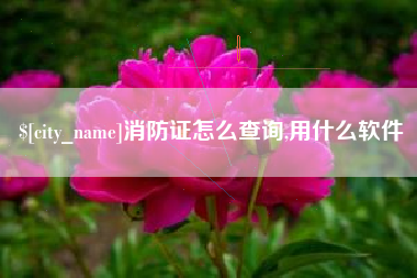 温州消防证怎么查询,用什么软件