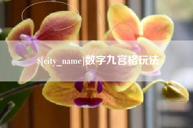 温州数字九宫格玩法