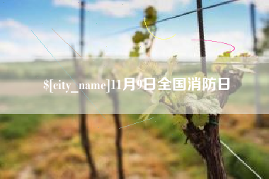 温州11月9日全国消防日