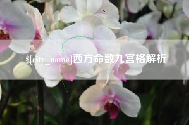 温州西方命数九宫格解析