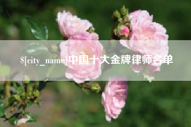 温州中国十大金牌律师名单