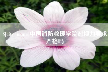 温州中国消防救援学院对视力要求严格吗