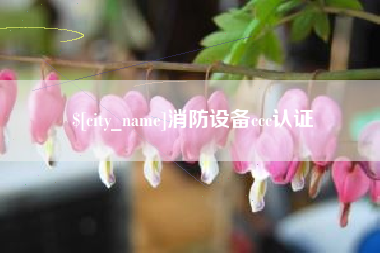 温州消防设备ccc认证