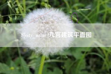 温州九宫建筑平面图