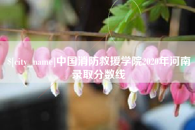 温州中国消防救援学院2020年河南录取分数线