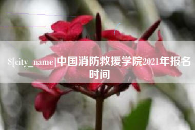 温州中国消防救援学院2021年报名时间