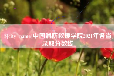 温州中国消防救援学院2021年各省录取分数线