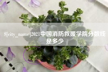 温州2021中国消防救援学院分数线是多少