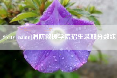 温州消防救援学院招生录取分数线