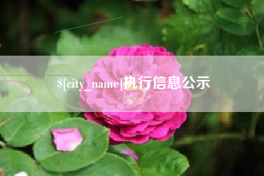 温州执行信息公示