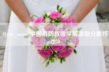 温州中国消防救援学院录取分数线2020