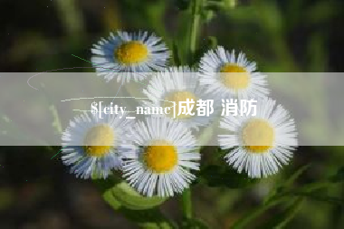 温州成都 消防