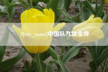 温州中国队九块金牌