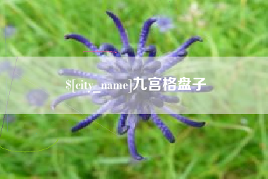 温州九宫格盘子