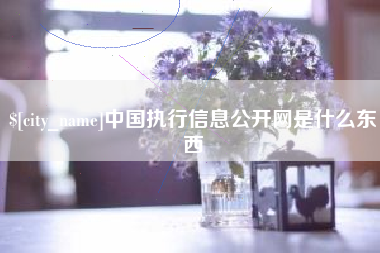 温州中国执行信息公开网是什么东西