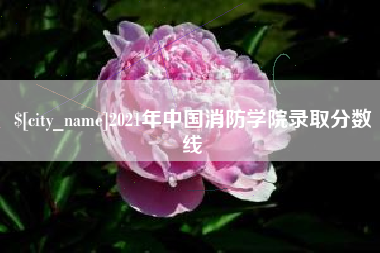 温州2021年中国消防学院录取分数线