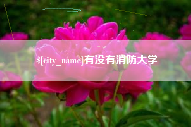 温州有没有消防大学