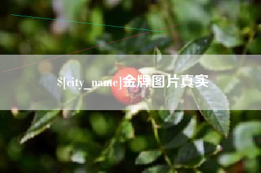 温州金牌图片真实
