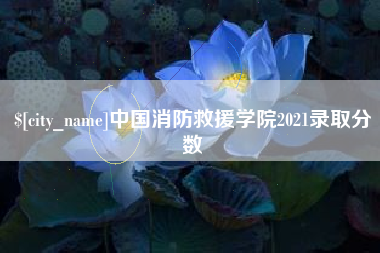 温州中国消防救援学院2021录取分数