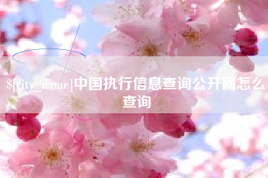 温州中国执行信息查询公开网怎么查询