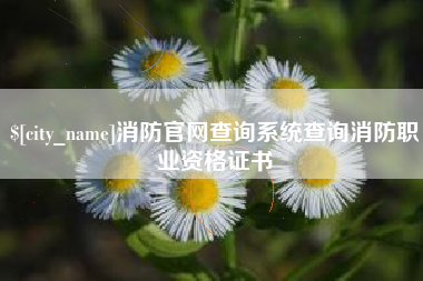 温州消防官网查询系统查询消防职业资格证书