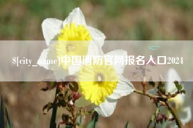 温州中国消防官网报名入口2024