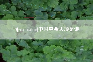 温州中国夺金大项是谁