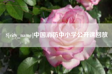 温州中国消防中小学公开课回放