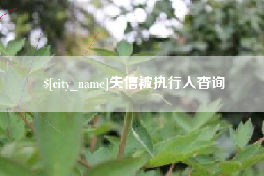 温州失信被执行人杳询
