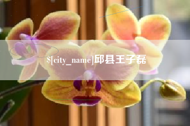 温州邱县王子磊