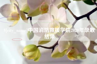 温州中国消防救援学院2020年录取结果