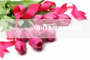 温州11月9日全国消防日图片