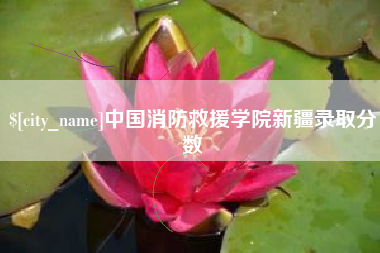 温州中国消防救援学院新疆录取分数