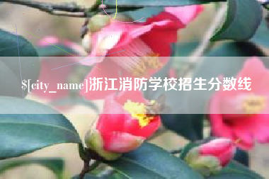 温州浙江消防学校招生分数线