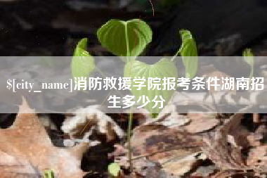 温州消防救援学院报考条件湖南招生多少分