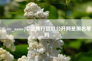温州中国执行信息公开网是黑名单吗
