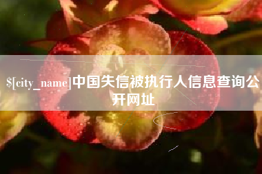 温州中国失信被执行人信息查询公开网址