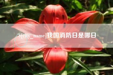 温州我国消防日是哪日