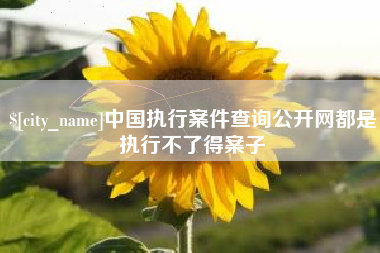 温州中国执行案件查询公开网都是执行不了得案子