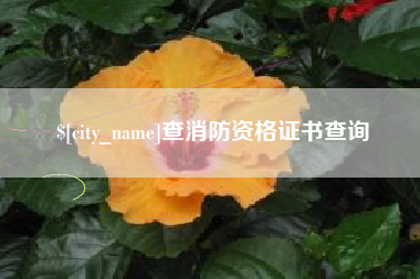 温州查消防资格证书查询