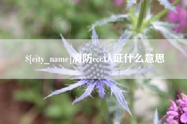 温州消防ccc认证什么意思