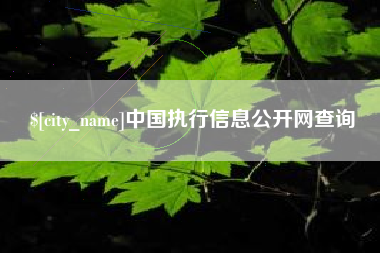 温州中国执行信息公开网查询