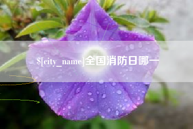 温州全国消防日哪一