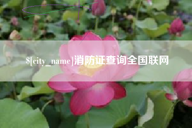 温州消防证查询全国联网
