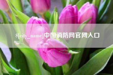 温州中国消防网官网入口