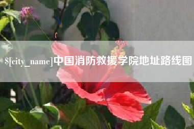 温州中国消防救援学院地址路线图