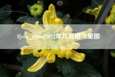 温州2022年九宫格飞星图