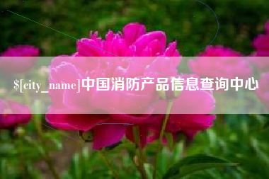 温州中国消防产品信息查询中心